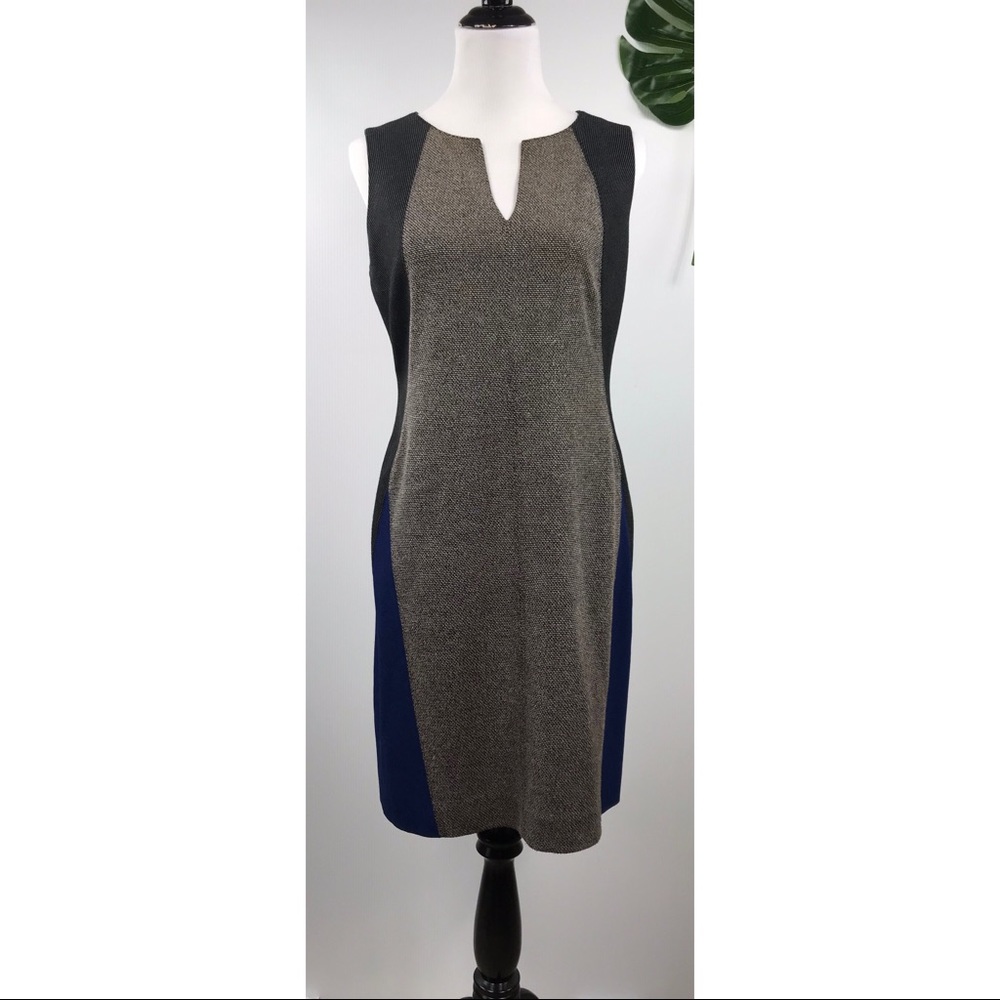 Ann Taylor Dress
